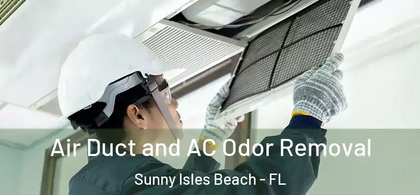Air Duct and AC Odor Removal Sunny Isles Beach - FL