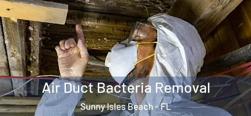 Air Duct Bacteria Removal Sunny Isles Beach - FL