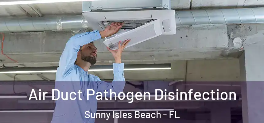 Air Duct Pathogen Disinfection Sunny Isles Beach - FL