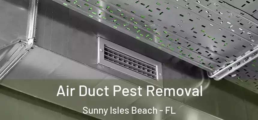 Air Duct Pest Removal Sunny Isles Beach - FL