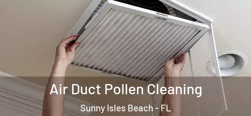 Air Duct Pollen Cleaning Sunny Isles Beach - FL