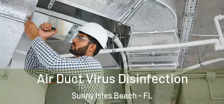 Air Duct Virus Disinfection Sunny Isles Beach - FL