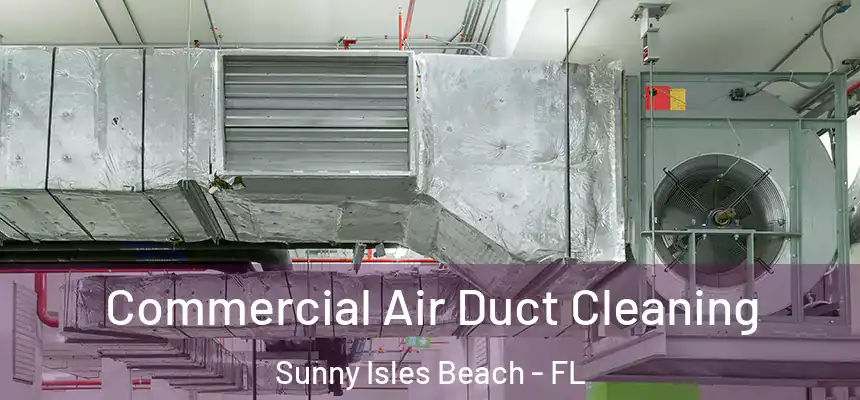 Commercial Air Duct Cleaning Sunny Isles Beach - FL
