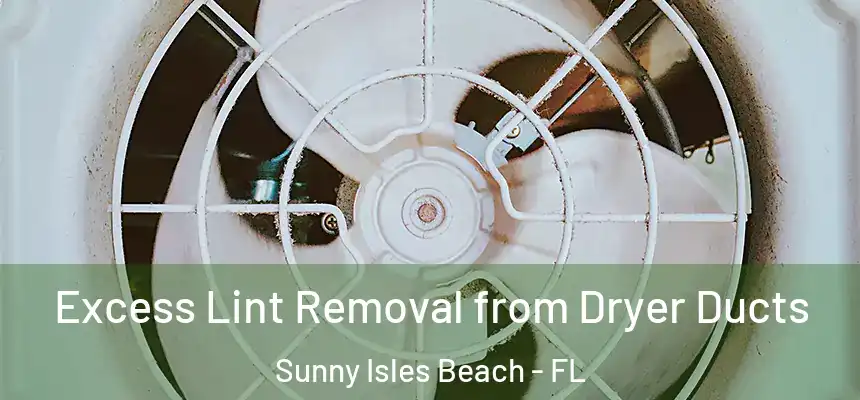 Excess Lint Removal from Dryer Ducts Sunny Isles Beach - FL