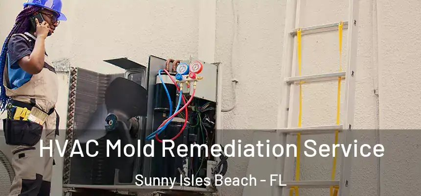 HVAC Mold Remediation Service Sunny Isles Beach - FL