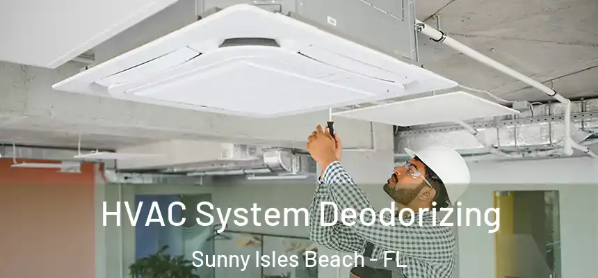 HVAC System Deodorizing Sunny Isles Beach - FL