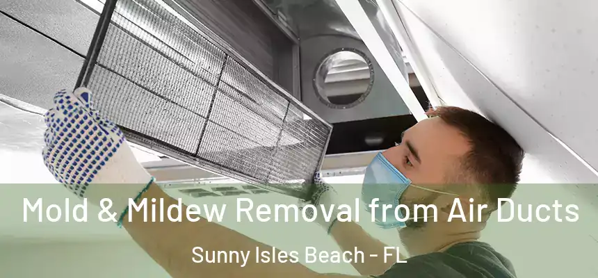 Mold & Mildew Removal from Air Ducts Sunny Isles Beach - FL