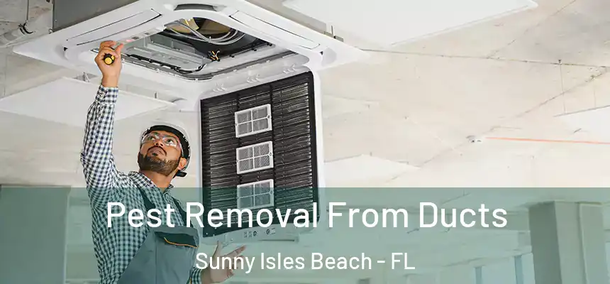 Pest Removal From Ducts Sunny Isles Beach - FL