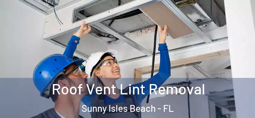 Roof Vent Lint Removal Sunny Isles Beach - FL