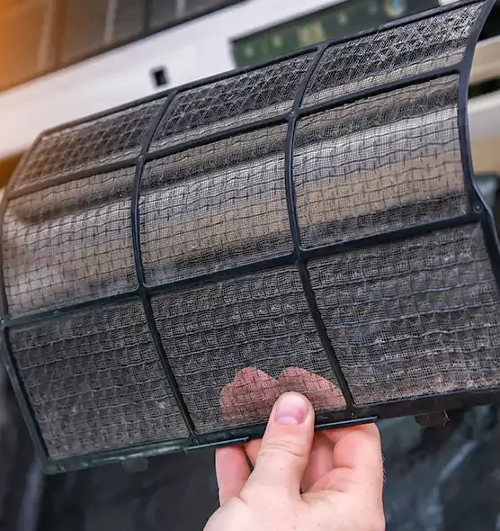 About Pet Dander Duct Cleaning in Sunny Isles Beach, FL